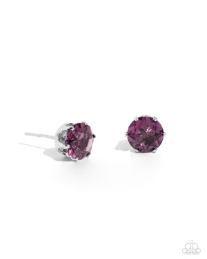 Paparazzi Breathtaking Birthstone - Purple Post Earrings (February)