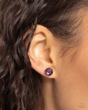 Paparazzi Breathtaking Birthstone - Purple Post Earrings (February)
